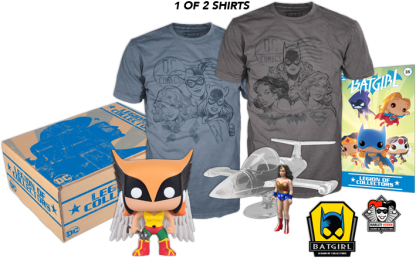 DC Legion of Collectors - Women of DC Box (Box 4)